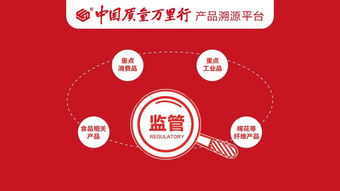 筑牢發展基石 聚焦四大重點領域，強化產品質量安全監管與節能管理服務